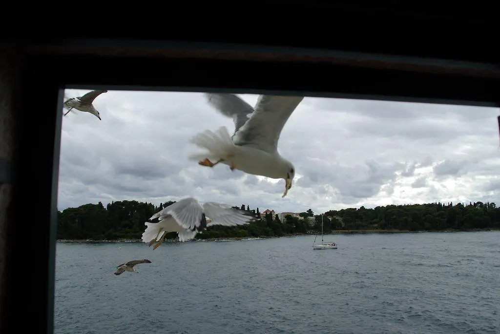 Apartamento Casa Sul Mar Rovinj Croacia